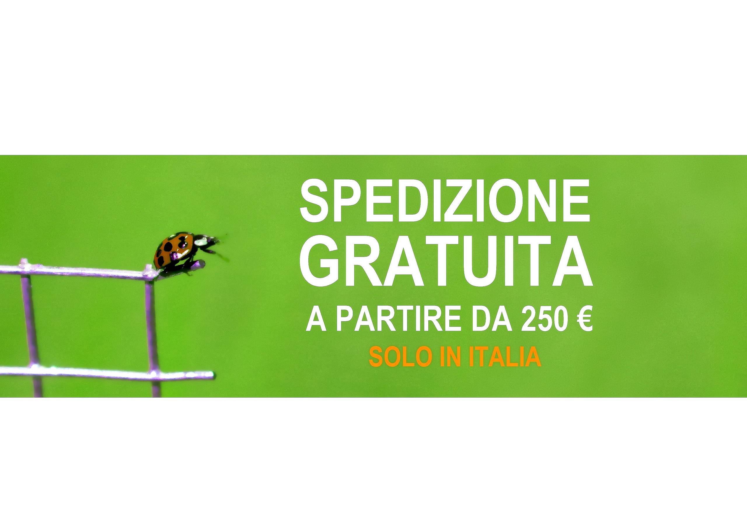SPEDIZIONE GRATUITA